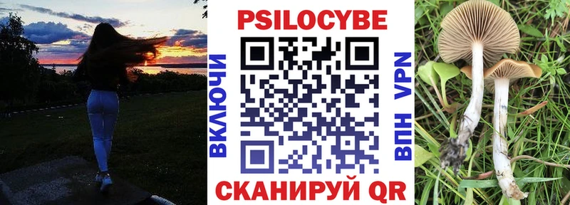 Псилоцибиновые грибы GOLDEN TEACHER  Тара 