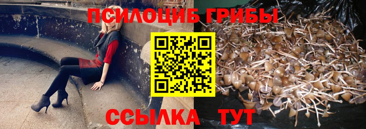 Alpha PVP СК кристаллы  КОКАИН  МЕТАМФЕТАМИН  Конопля  LSD-25  МЕФ кристаллы  Тара  Гашиш 