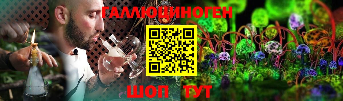 Галлюциногенные грибы Psilocybe  хочу   Тара 