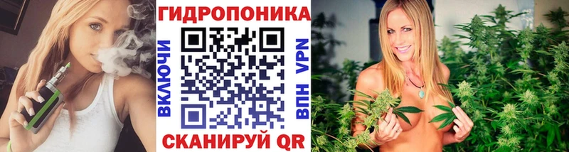 Бошки Шишки Amnesia  OMG как войти  Тара  купить закладку 